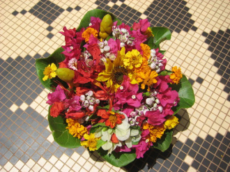 03 Les Fleurs Offertes Par Petra